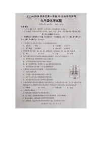 山东省济宁市金乡县2023-2024学年九年级上学期化学10月月考试题（月考）