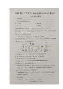 湖北省孝感市汉川市五校教联体2023-2024学年九年级上学期10月质量测评化学试题（月考）