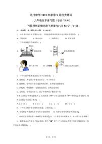 四川省达州中学2023-2024学年九年级上学期10月月考化学试题