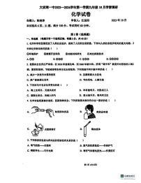 广东省惠州市大亚湾经济技术开发区第一中学2023-2024学年九年级上学期10月月考化学试题