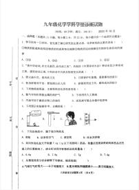 山东省潍坊市高密市滨北学校2023-2024学年九年级上学期10月月考化学试题