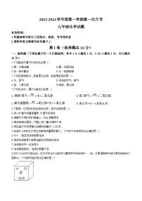 山东省济宁市嘉祥县宗圣中学2023-2024学年九年级上学期10月月考化学试题