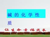 第二單元第二節(jié)堿及其性質(zhì)魯教版五四制九年級(jí)化學(xué)全一冊(cè)課件PPT