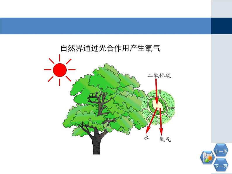 第二单元 实验活动1《氧气的实验室制取与性质》PPTT课件2-九年级上册化学人教版第2页