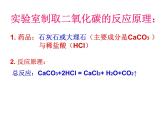 第六单元《实验活动2 二氧化碳的实验室制取和性质》PPT课件3-九年级上册化学人教版
