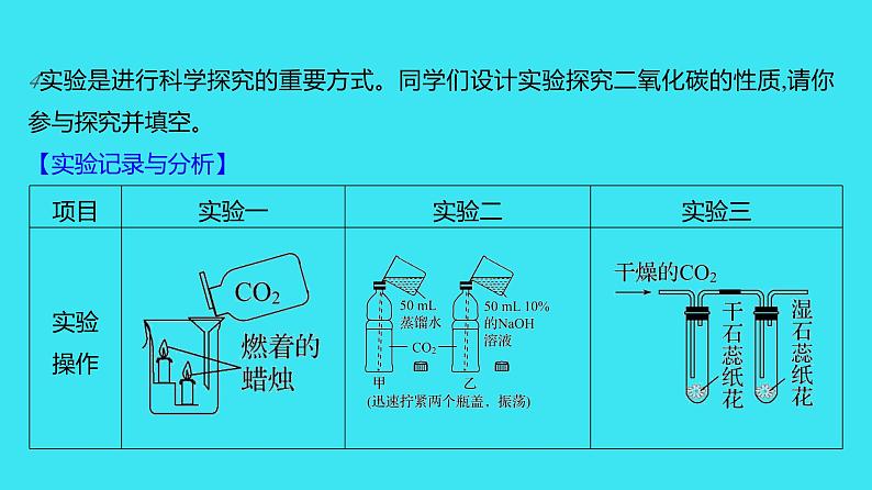 第六单元 实验活动2 二氧化碳的实验室制取与性质  课件 2023-2024人教版化学九年级上册07