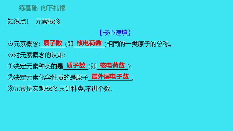 第三单元 课题3 第1课时  元素 元素符号  课件 2023-2024人教版化学九年级上册02