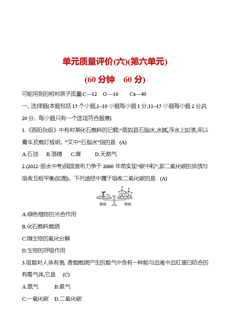单元质量评价(六)(第六单元) 同步练习2023-2024 鲁教版化学 八年级全一册01