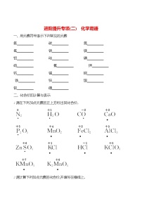 进阶提升专项（二） 化学用语 课时练 2023-2024人教版化学九年级上册