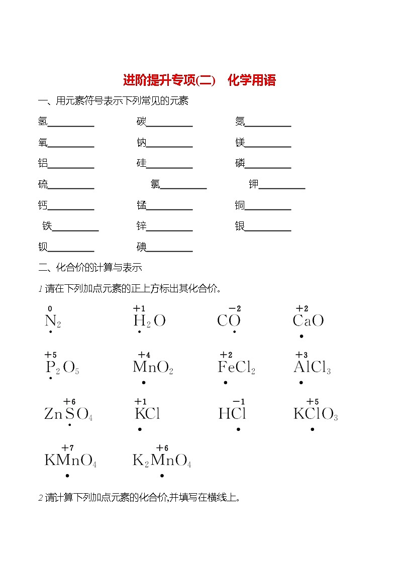 进阶提升专项（二） 化学用语 课时练 2023-2024人教版化学九年级上册01