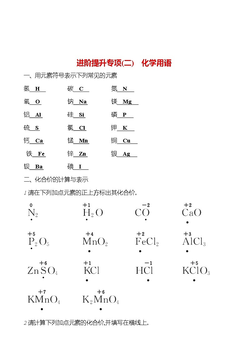 进阶提升专项（二） 化学用语 课时练 2023-2024人教版化学九年级上册01