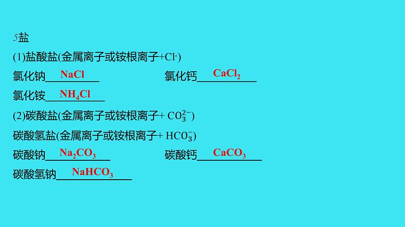 进阶提升专项（二） 化学用语  课件 2023-2024人教版化学九年级上册08