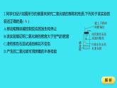 题组十八　二氧化碳  课件 2023-2024人教版化学九年级上册