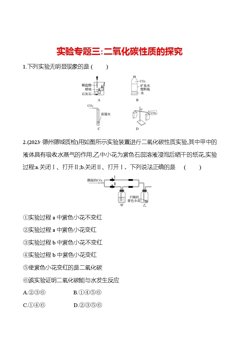 实验专题三：二氧化碳性质的探究 同步练习2023-2024 鲁教版化学 八年级全一册01