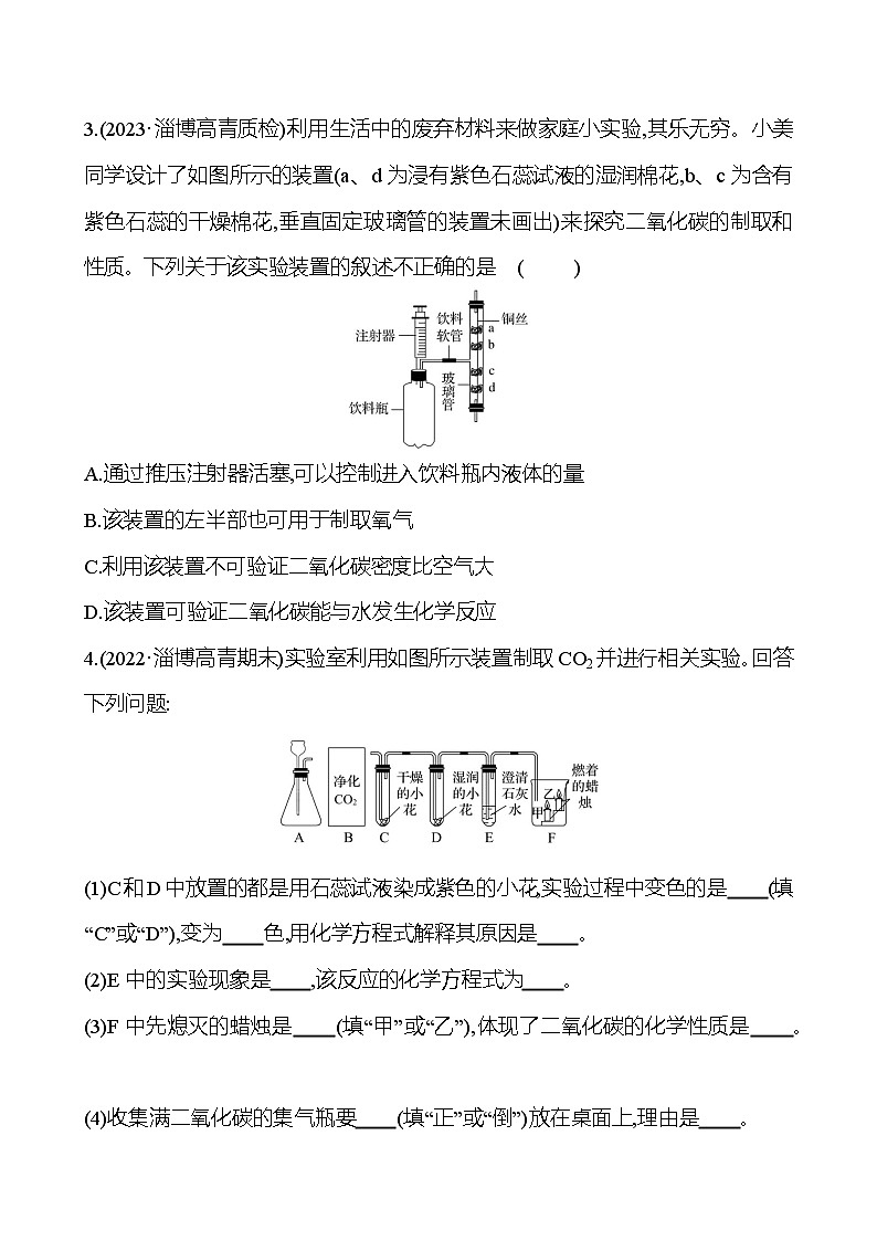 实验专题三：二氧化碳性质的探究 同步练习2023-2024 鲁教版化学 八年级全一册02