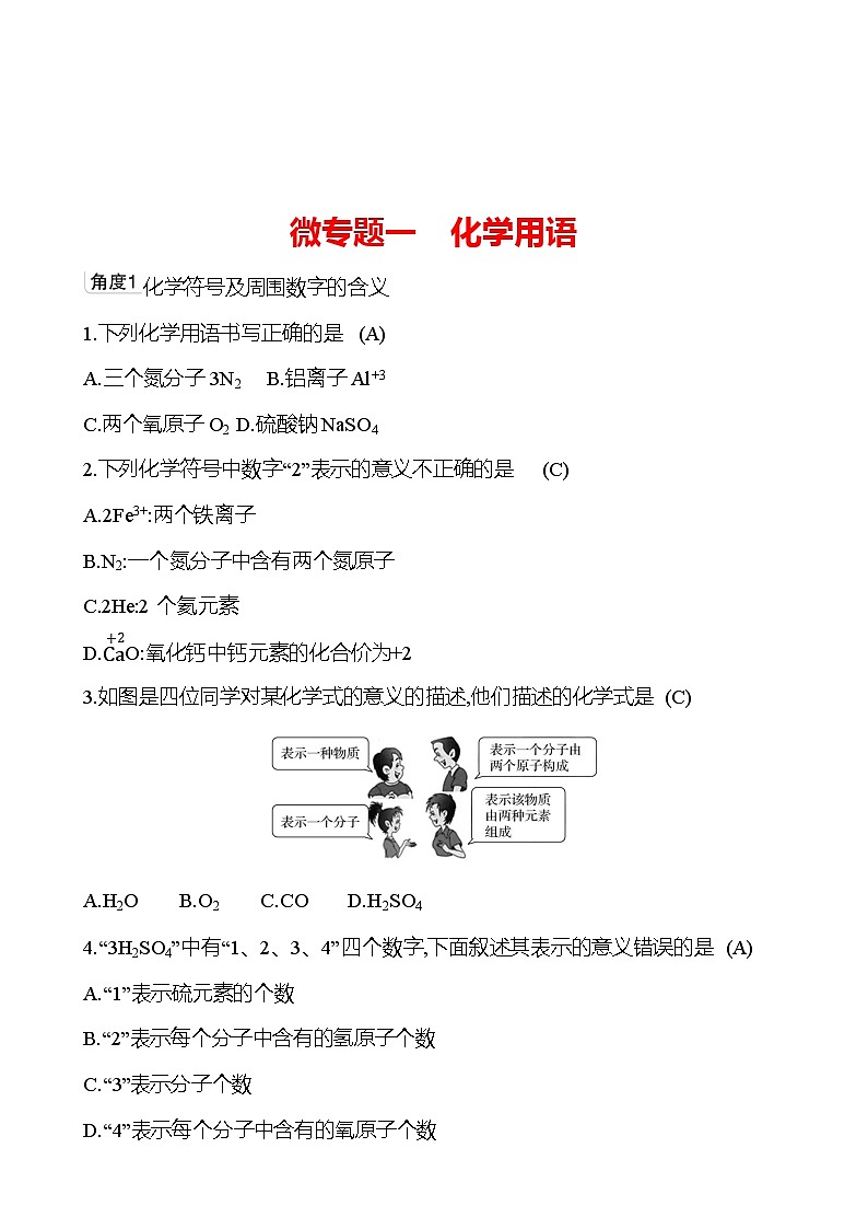 微专题一　化学用语 同步练习（教师版）2023-2024 鲁教版化学 八年级全一册第1页