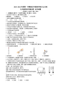 江苏省南京市外国语学校方山分校2023~2024学年九年级上学期10月月考化学试题（月考）