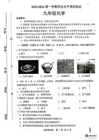 山东省德州市宁津县育新中学2023-2024学年九年级上学期10月月考化学试题