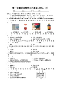 第一学期阶段性学习九年级化学A（2）