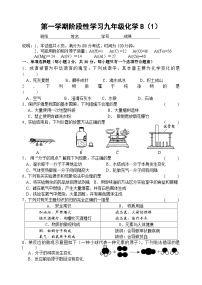 第一学期阶段性学习九年级化学B(1)