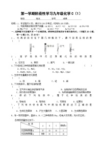 第一学期阶段性学习九年级化学C(1)