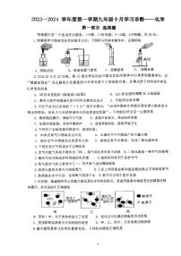 广东省深圳市龙岗区深圳中学龙岗初级中学2023-2024学年九年级上学期十月学习诊断化学试题