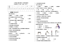 新疆莎车县恰热克镇中学2023-2024学年九年级上学期第一次月考化学试题