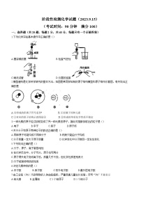 广西贵港市港北区第六初级中学2023-2024学年九年级上学期9月月考化学试题(无答案)