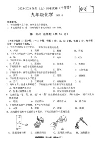 辽宁省大连市一一八中学2023-2024学年九年级上学期10月份月考化学试卷