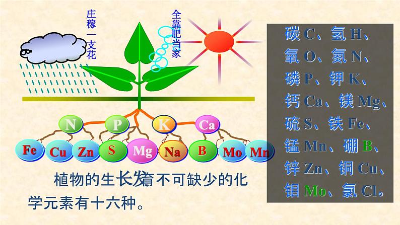 《课题2 化学肥料》PPT课件1-九年级下册化学人教版第2页