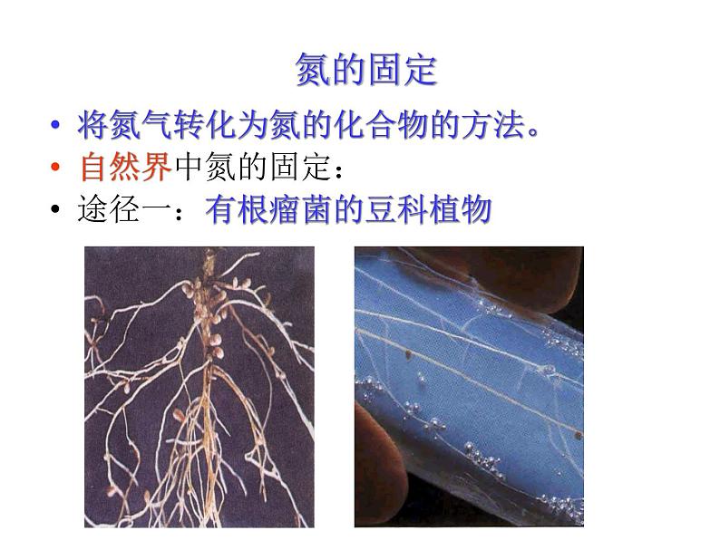 《课题2 化学肥料》PPT课件2-九年级下册化学人教版第7页