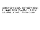 《课题2 溶解度》教学课件 -九年级下册化学人教版