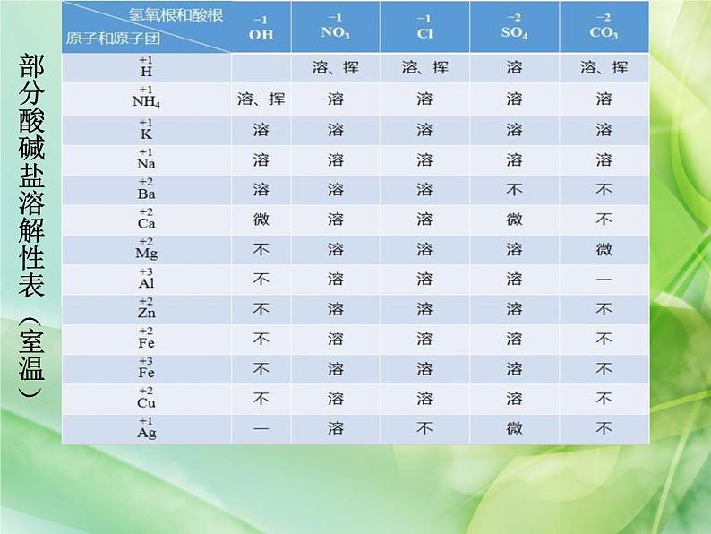 人教版化学九年级下册《附录1 部分酸碱盐的溶解性表》PPT课件2第2页