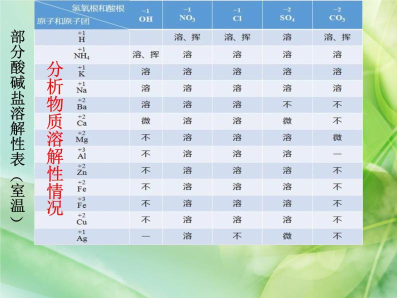 人教版化学九年级下册《附录1 部分酸碱盐的溶解性表》PPT课件204