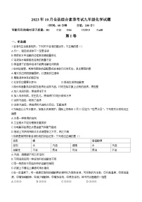 山东省东营市利津县2023-2024学年九年级上学期第一次联考化学试题（月考）