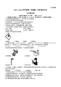 陕西省西安市蓝田县2023-2024学年九年级上学期10月月考化学试题