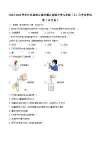 2023-2024学年江苏省连云港市灌云实验中学九年级（上）月考化学试卷（10月份）（含解析）