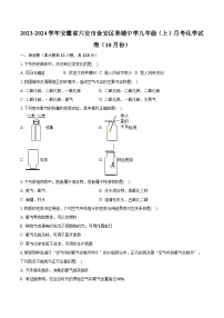 2023-2024学年安徽省六安市金安区皋城中学九年级（上）月考化学试卷（10月份）（含解析）