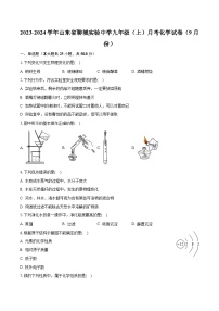 2023-2024学年山东省聊城实验中学九年级（上）月考化学试卷（9月份）（含解析）