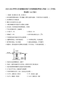 2023-2024学年江苏省南通市海门市东洲国际学校九年级（上）月考化学试卷（10月份）（含解析）