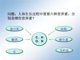 人教版化学九年级下册12.2《化学元素与人体健康》PPT课件4