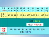 人教版化学九年级下册12.2《化学元素与人体健康》PPT课件4