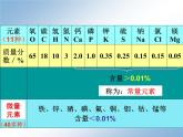 人教版化学九年级下册12.2《化学元素与人体健康》PPT课件4