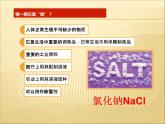 人教版化学九年级下册第11单元《实验活动8 粗盐中难溶性杂质的去除》PPT课件6