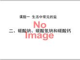 人教版化学九年级下册11.1《生活中常见的盐》PPT课件4