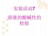 人教版化学九年级下册第10单元《实验活动7 溶液酸碱性的检验》PPT课件2