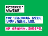 人教版化学九年级下册11.2《化学肥料》PPT课件3