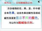 人教版化学九年级下册第10单元《实验活动7 溶液酸碱性的检验》PPT课件4