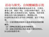 人教版化学九年级下册第10单元《实验活动7 溶液酸碱性的检验》PPT课件5