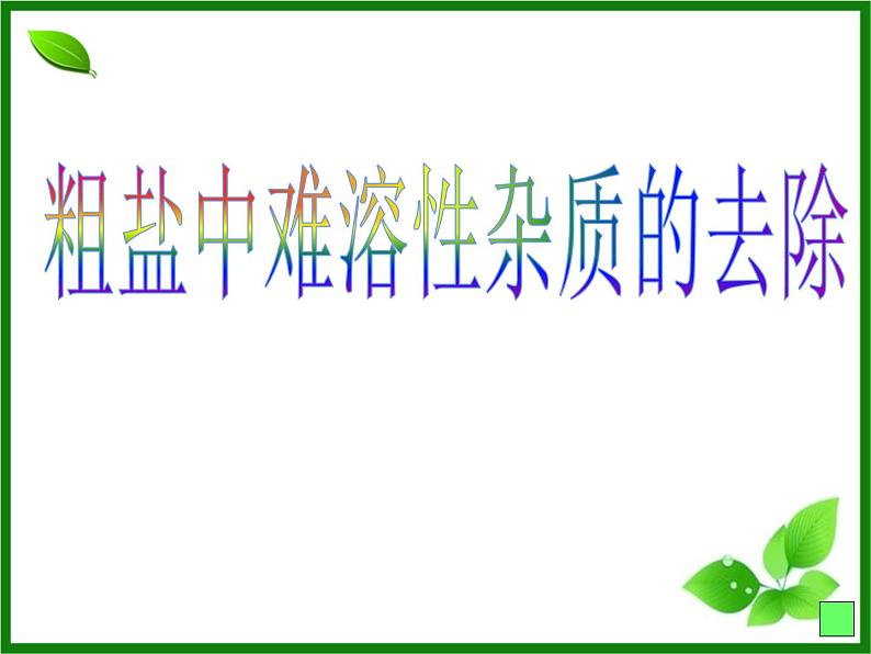 人教版化学九年级下册第11单元《实验活动8 粗盐中难溶性杂质的去除》PPT课件201